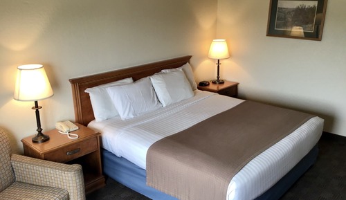 Room, 1 King Bed, Non Smoking