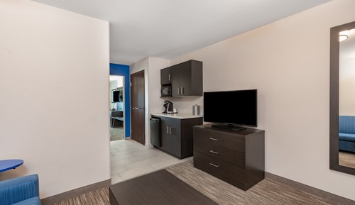 Suite, 1 King Bed, Mountain View