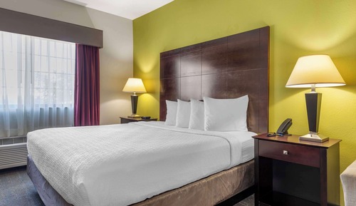 Standard Room, 1 King Bed, Non Smoking, Refrigerator & Microwave