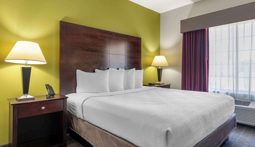 Standard Room, 1 King Bed, Non Smoking, Jetted Tub