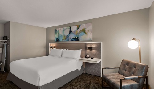 Room, 1 King Bed, Accessible, Non Smoking (Roll In Shower)