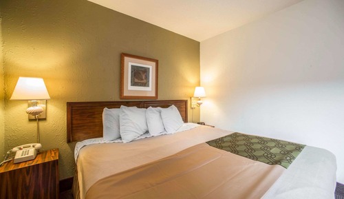 Room, 1 King Bed, Accessible, Non Smoking