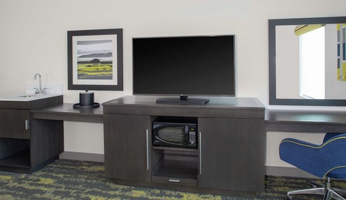 Room, 1 King Bed with Sofa bed, Non Smoking, Refrigerator & Microwave