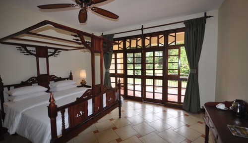 Superior Room, Pool View
