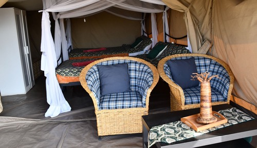 Standard Double or Twin Room