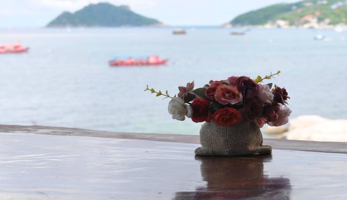 Deluxe Bungalow with Sea View