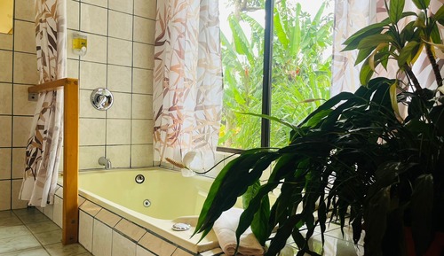 Junior Suite, 1 King Bed, Garden View