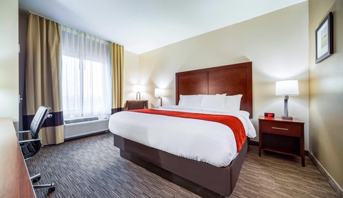 Standard Room, 1 King Bed, Non Smoking