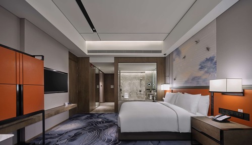 King Accessible Room