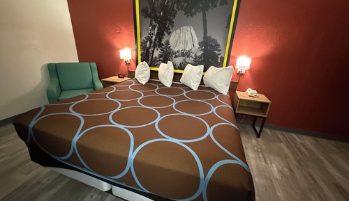 Room, 1 King Bed, Non Smoking