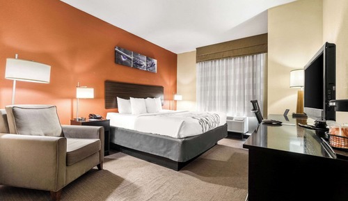 Suite, 1 King Bed with Sofa bed, Accessible, Non Smoking