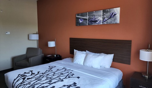 Standard Room, 1 King Bed, Non Smoking