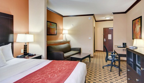 Suite, 1 King Bed with Sofa bed, Non Smoking