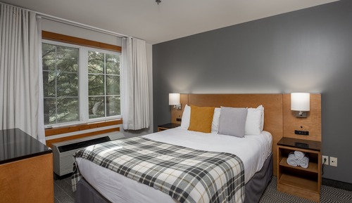 Suite, 1 Queen Bed
