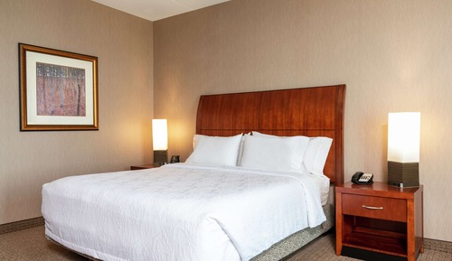 Room, 1 King Bed (Drinks & Snacks)