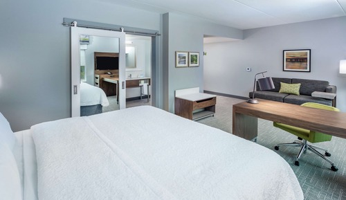 Room, 1 King Bed, Accessible (Roll-In Shower, Mobility & Hearing)