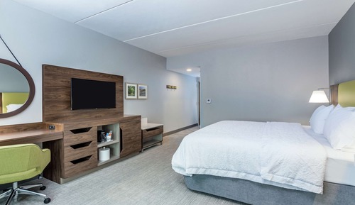 Room, 1 King Bed, Accessible (Roll-In Shower, Mobility & Hearing)
