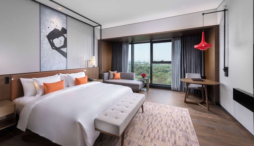 Superior Double Room, City View