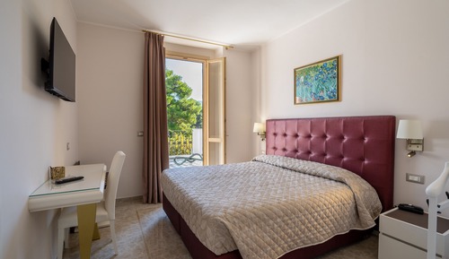 Superior Double or Twin Room, Terrace