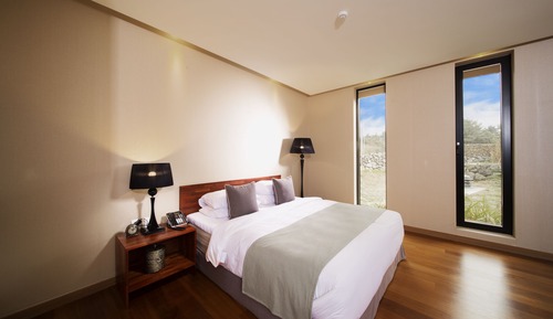 Villa (Vernazza Couple)