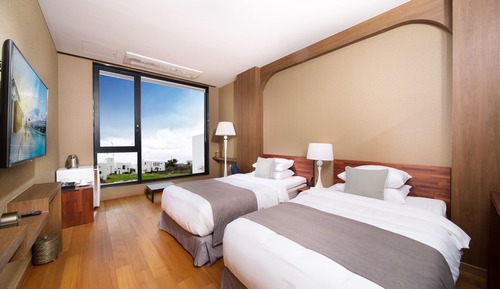 Deluxe Twin Room (Hotel)