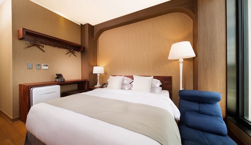 Deluxe Double Room (Hotel)