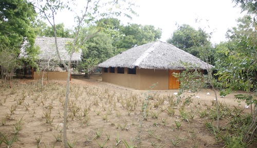 Family Room, Garden View