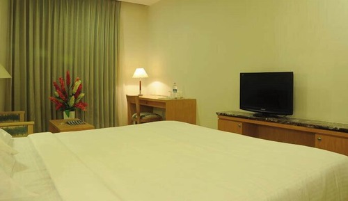 Executive Double Room