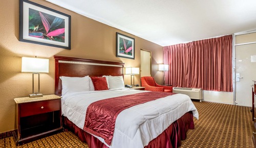 Standard Room, 1 King Bed, Non Smoking