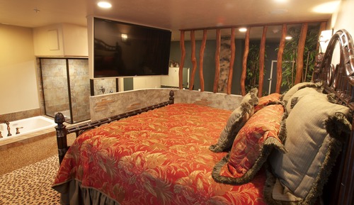 Suite, 1 King Bed (Congo Theme)