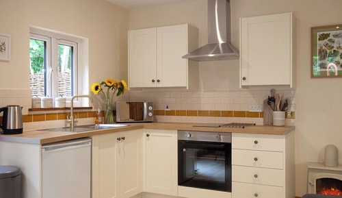 Cabin, 1 Bedroom (Badger - Eco lodge with hot tub)