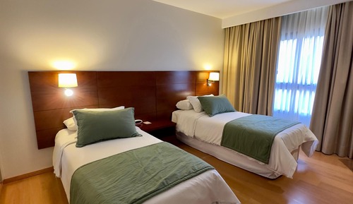 Standard Double or Twin Room, Mountain View