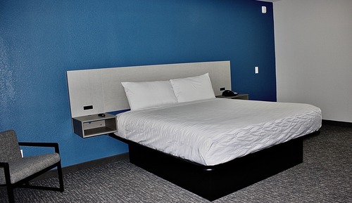 Single Room, 1 King Bed