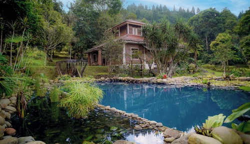 Standard Villa, Garden View