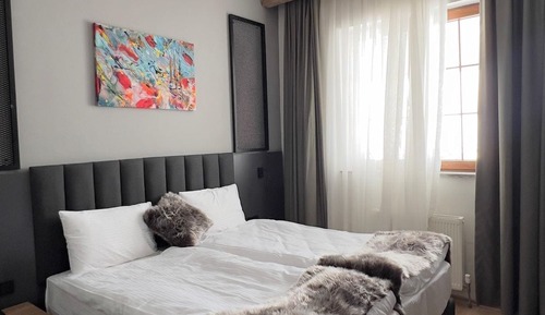 Standard Double or Twin Room, Mountain View