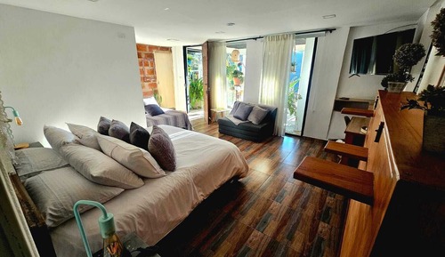 Junior Studio Suite, Mountain View