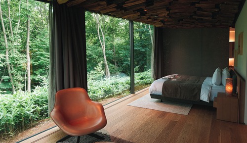 Junior Suite ,Forest,Double,Non Smoking