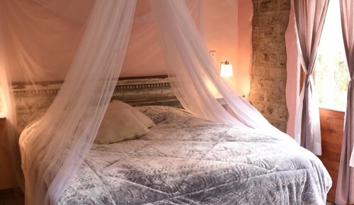 Family Cabin, Garden View