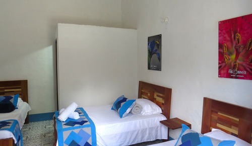 Standard Triple Room, Mountain View