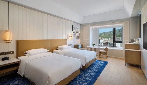 Room, 2 Twin Beds, Mountain View