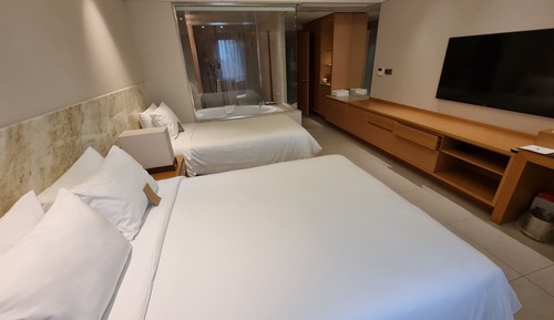 Deluxe Family Twin Room A (City View)