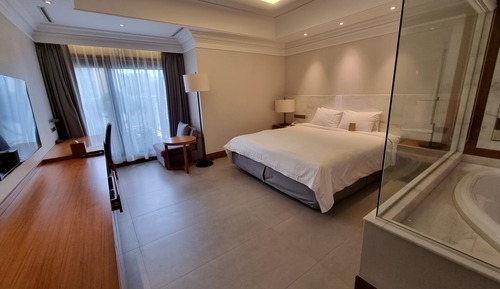 Premier Super King Double Room (Park View)