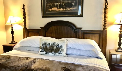 Premium Room, 1 King Bed, Accessible (Pet Friendly)