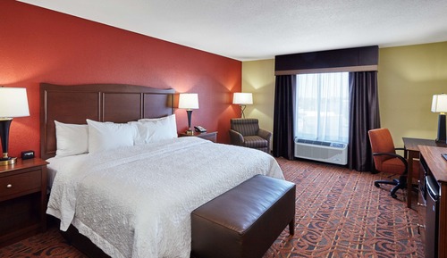 Room, Accessible, Non Smoking (Roll-in Shower)