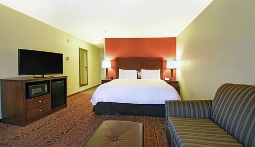 Room, 1 King Bed, Non Smoking, Refrigerator & Microwave