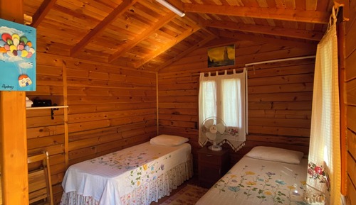 Basic Twin Room