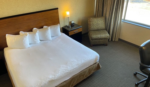 Room, 1 King Bed with Sofa bed, Non Smoking