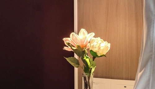 APARTAMENTO ESTÁNDAR