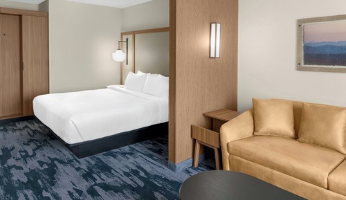 Standard Room, 1 King Bed with Sofa bed, Non Smoking (Mobility/Hearing Access, Roll-in Shwr)