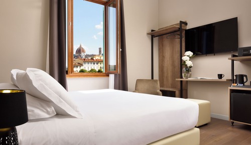 Deluxe Double or Twin Room, City View